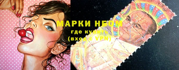 ECSTASY Бородино