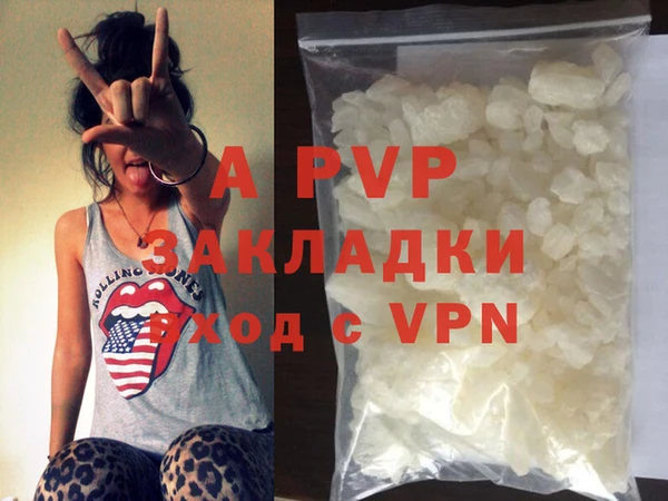 ECSTASY Бородино