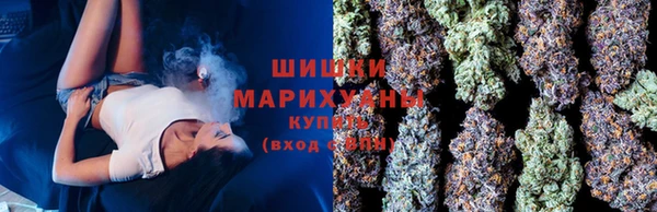 ECSTASY Бородино