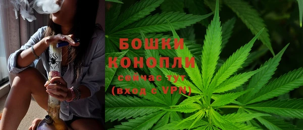 шишки Бронницы