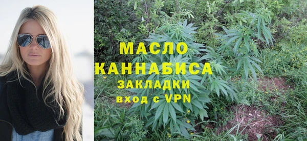 ECSTASY Бородино