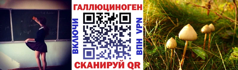 Псилоцибиновые грибы Cubensis  мориарти как зайти  Тбилисская 